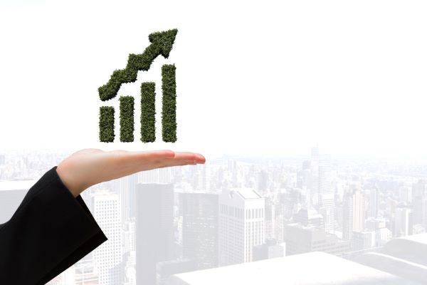 business growth