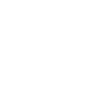 virtual-cfo-icon-white